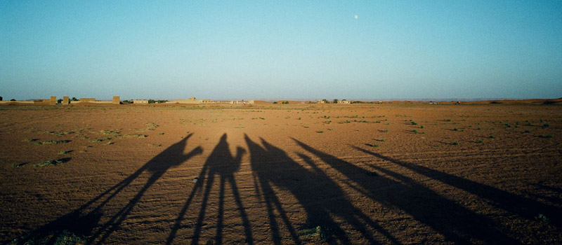 Sahara Desert, Merzouga, Erg Chebbi, Camel Treks