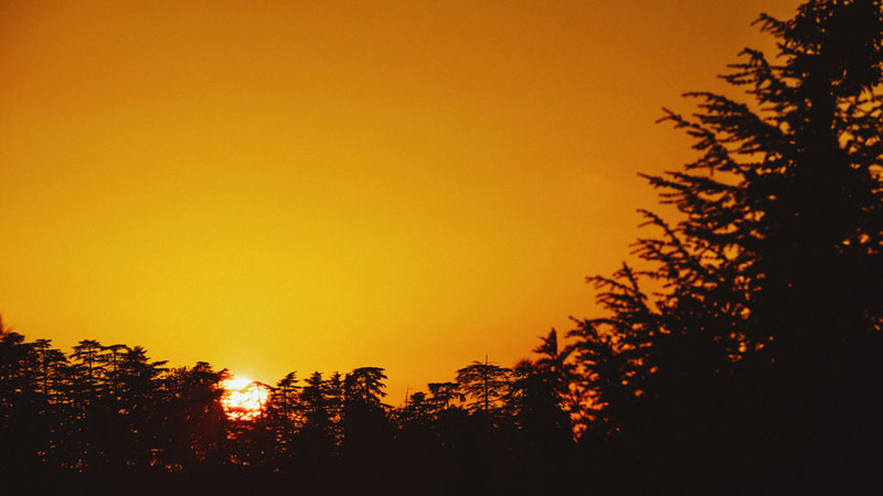 Dharamshala India Sunset