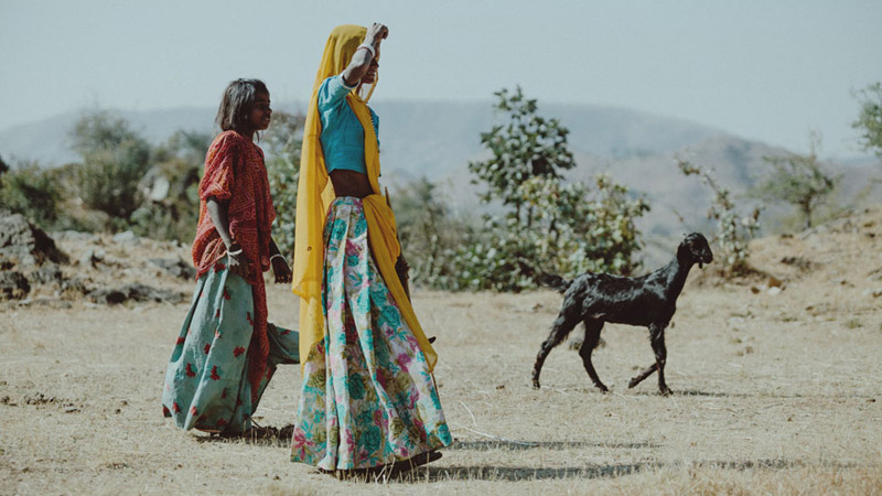 Family and Goat in Ranakpur Rajasthan