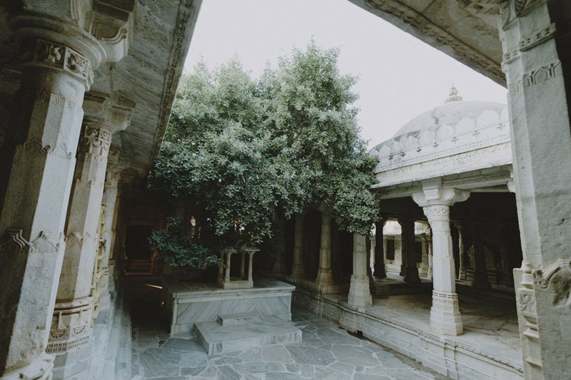 Beautiful Tree in Jain Temple Ranakpur