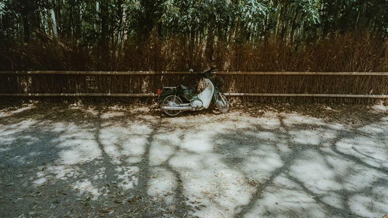 Famous Sites in Kyoto, Tomasz Wagner, Arashiyama Bamboo Forest, Contax G2, Japan 35mm Film Photography