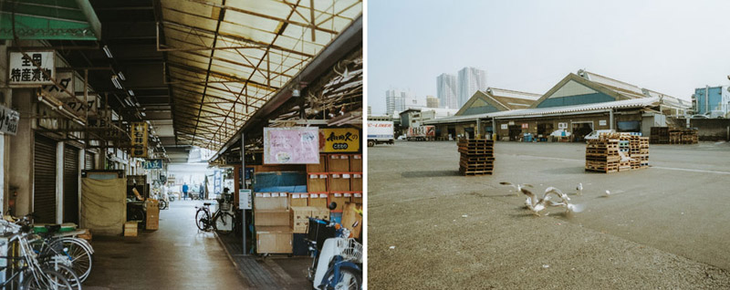 Tsukiji, Tomasz Wagner, Tokyo After Hours, Contax G2, Japan 35mm Film Photography