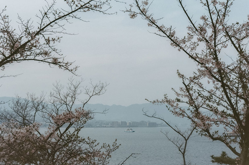 Tomasz Wagner, Itsukushima, Hiroshima Bay, Hiroshima Prefecture, Japanese Scenic Sites