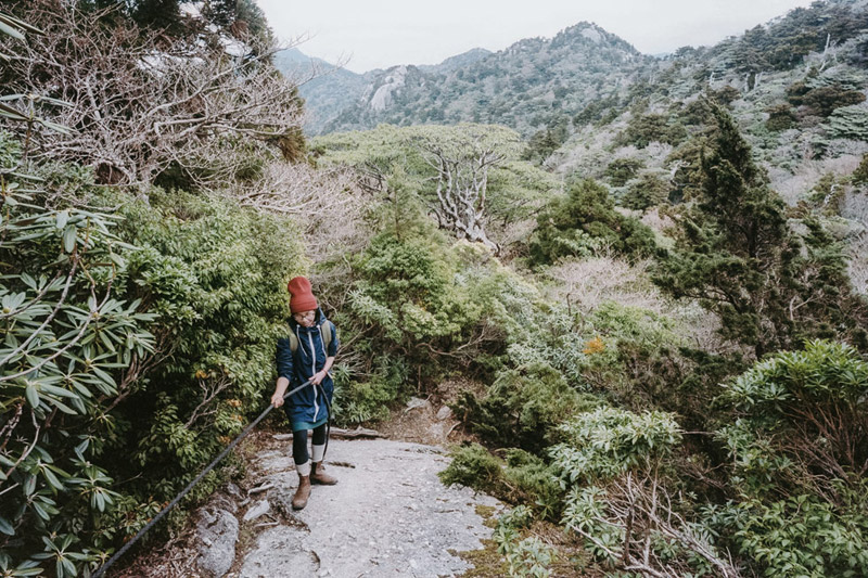 Approaching Mount Kuromi Dake, Yodogawa Trail, Tomasz Wagner