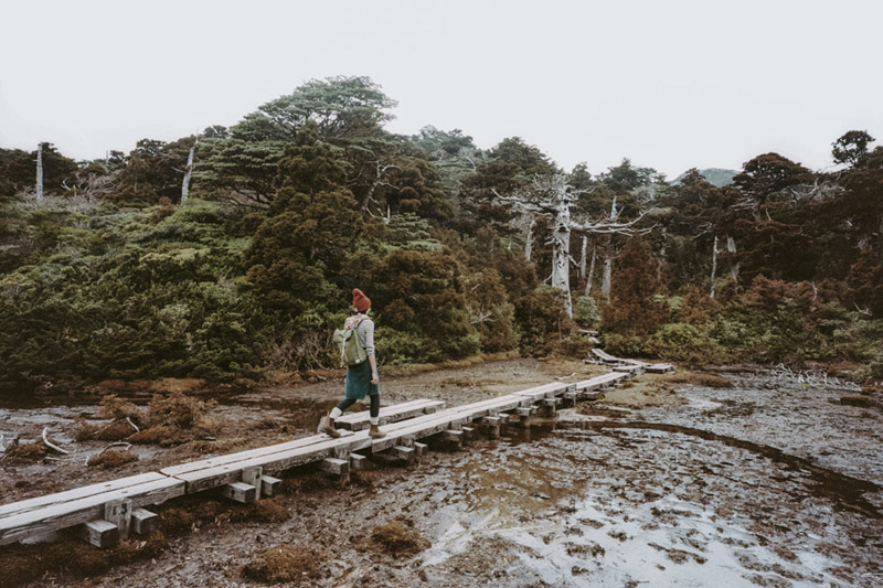 Hana No Ego Highland Marsh, Yodogawa Trail, Backpacking Yakushima, Tomasz Wagner