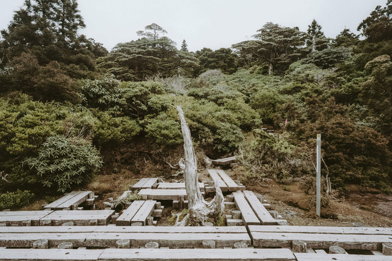 Hana No Ego Highland Marsh, Yodogawa Trail, Yakushima, Tomasz Wagner