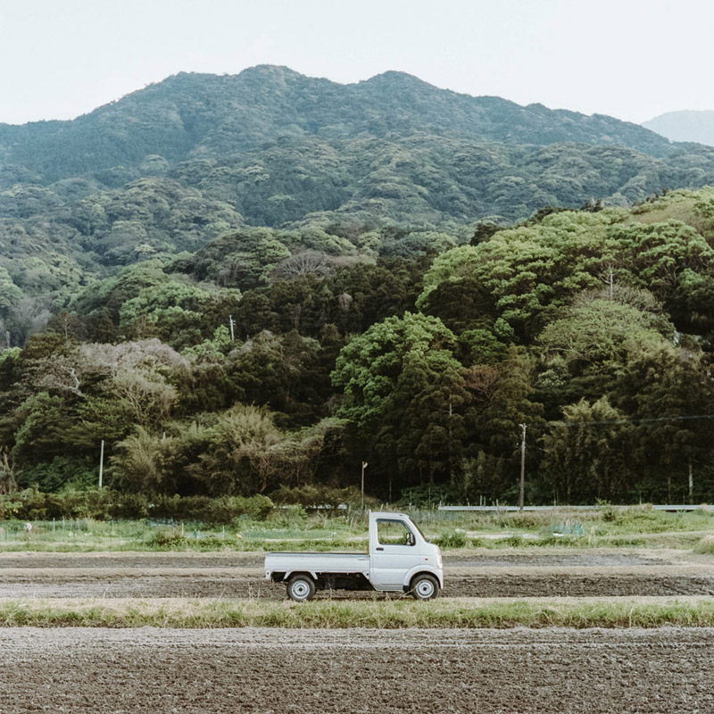 Farming in Rural Japan, Yakushima, Tomasz Wagner