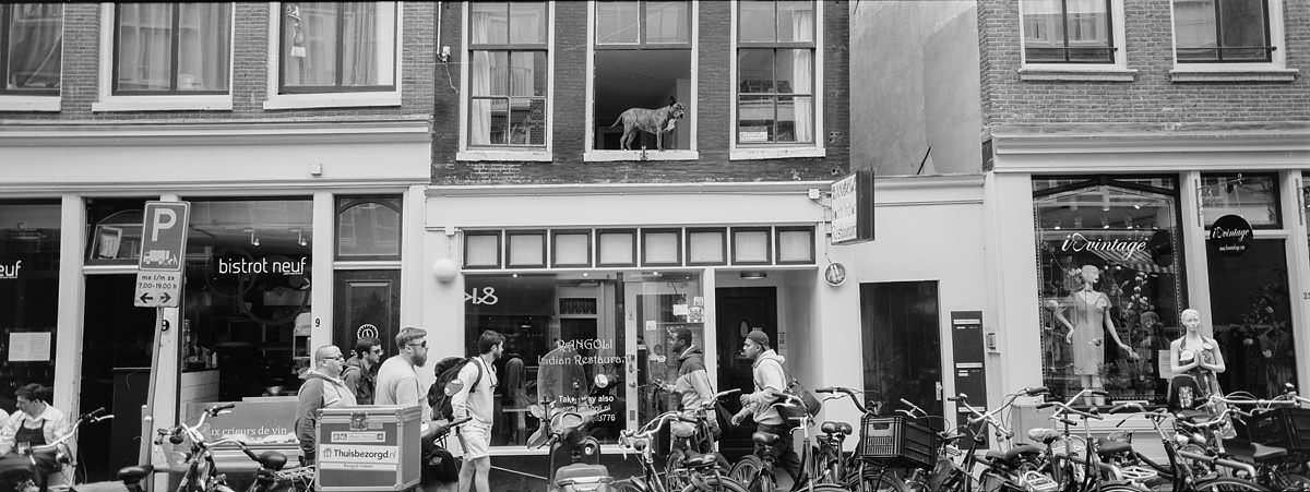 Joordan Neighbourhood Amsterdam netherlands street photography on hasselblad xpan film camera and kodak trix400