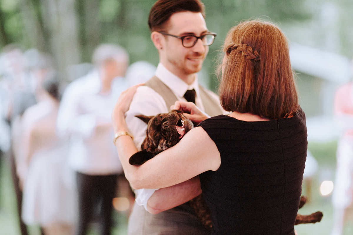 cute french bulldog at campsite wedding