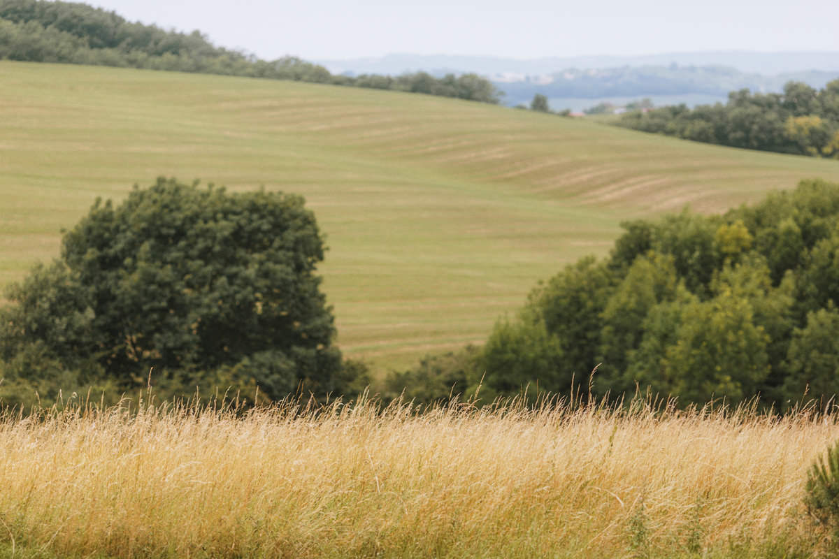 view of the french countryside