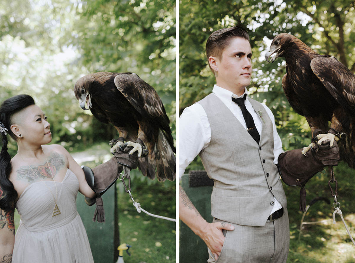 radical raptors falconry vancouver