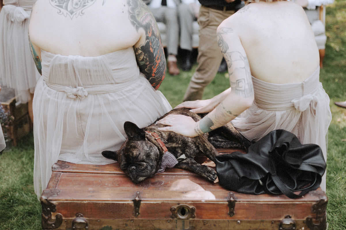 french bulldog sleeping at wedding