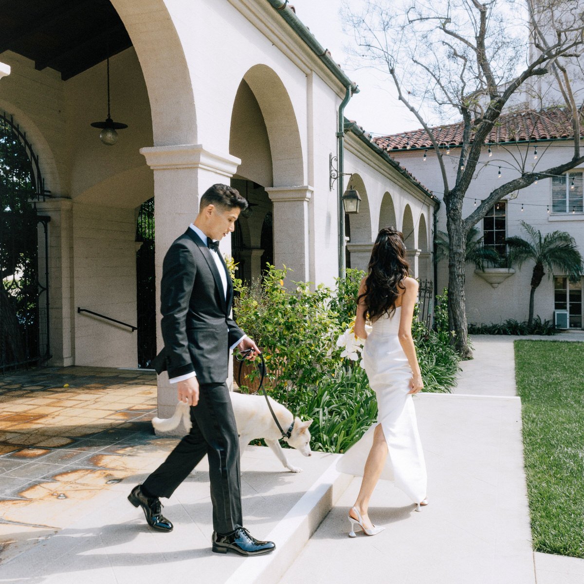 wedding couple with their dog walking around the Ebell of Los Angeles courtyard