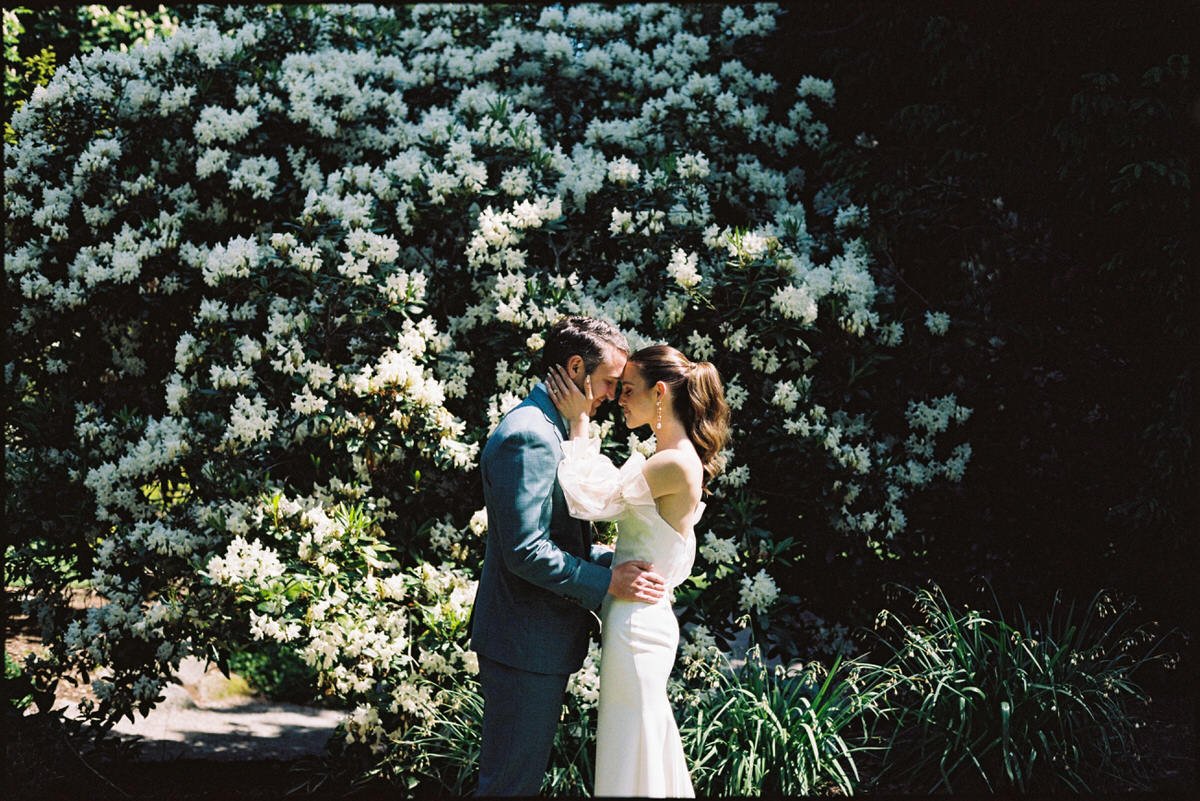 35mm film photo of wedding couple standing in front of large white rhododendron in Stanley Park