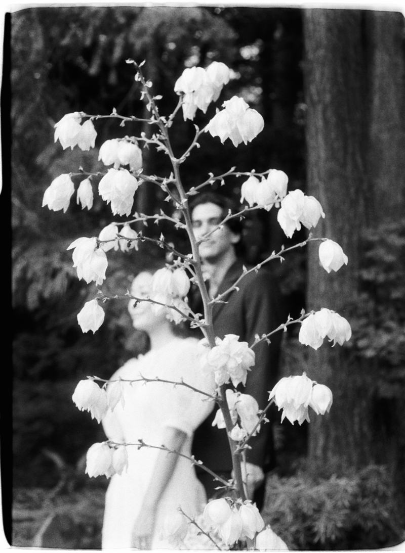 35mm photo of flowers in front of engaged couple