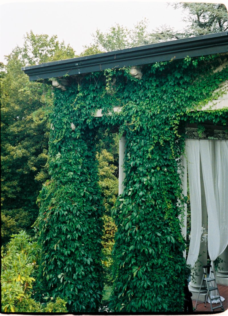 35mm photo of ivy growing on columns at hycroft manor