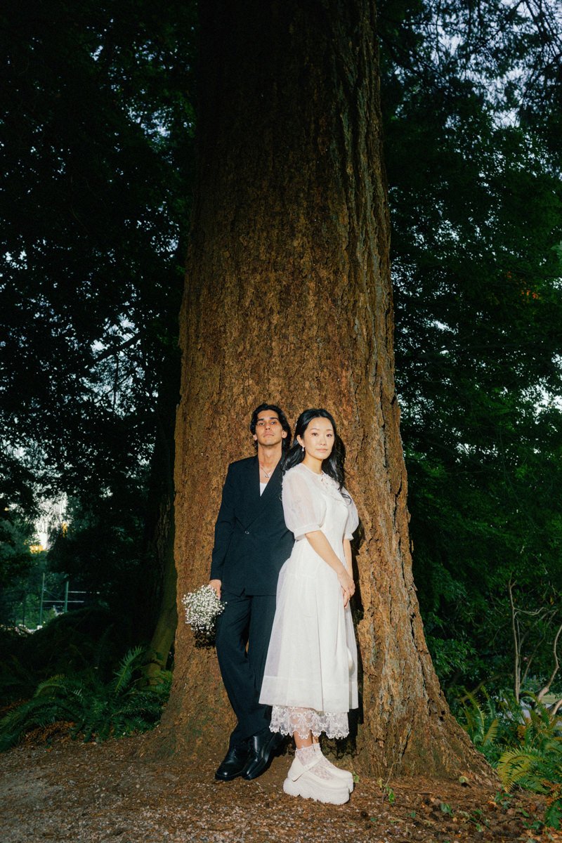 direct flash photo of wedding couple standing in front of large tree
