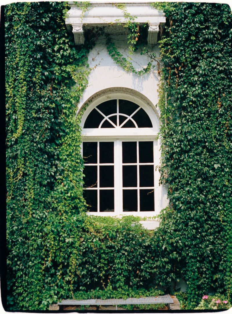 35mm photo of ivy covered window at popular wedding venue in vancouver