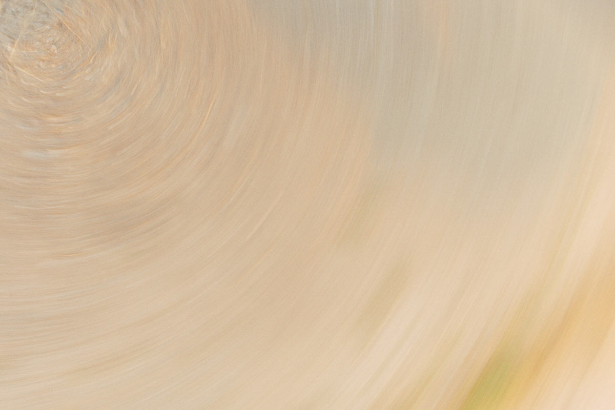 a blurry technique is used to create this abstract photo of a smokey sky one summer's day in vancouver